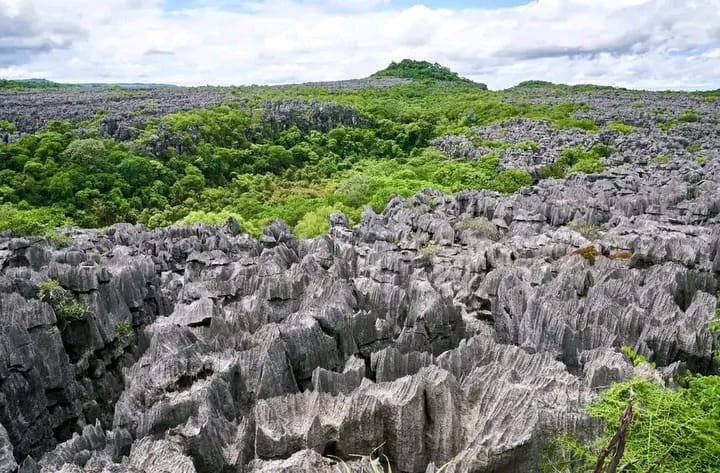 Réserve Spéciale d'Ankarana