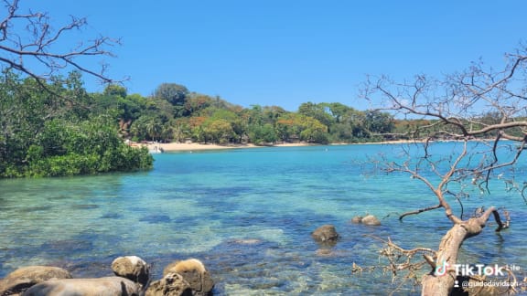 Vallée verdoyante de Madagascar nature préservée