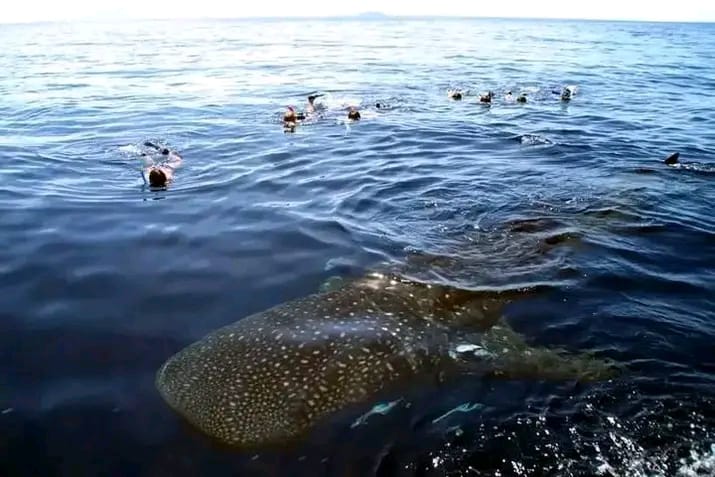 Cascade tropicale Madagascar eau pure cristalline