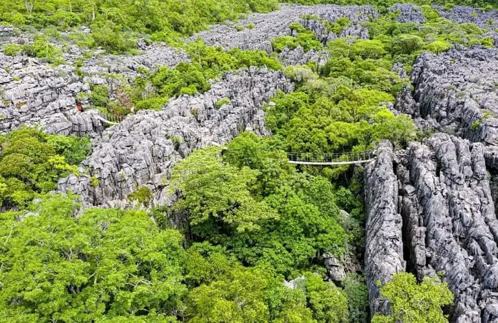 Suite luxueuse vue mer Madagascar confort premium