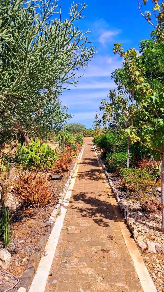 Lune de miel Madagascar destination romantique