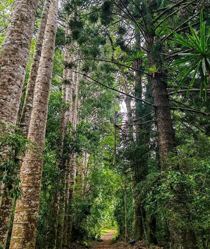 Dîner aux chandelles plage Madagascar séjour romantique